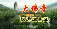 夜夜骚逼理论电影视频中国浙江-新昌大佛寺旅游风景区